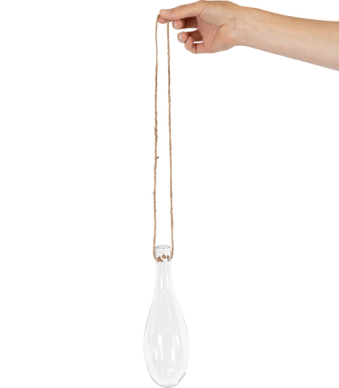 Glass Propagation Tube | S